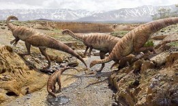 最新爆料恐龙妹妹是谁,恐龙妹妹真实身份，最新爆料引发热议！